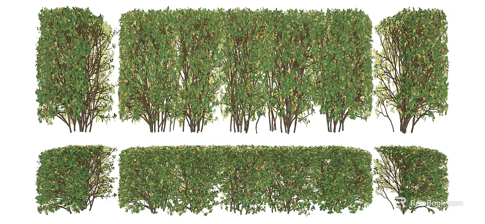 Neatly Arranged Green Shrubs in Various Forms for Garden Landscaping Outdoor Design 3d model 