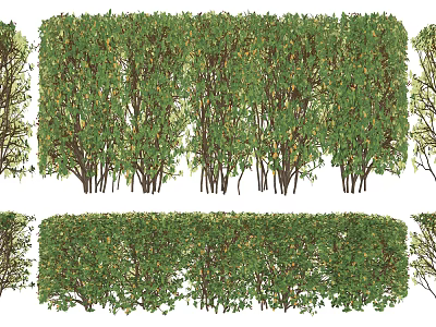 Neatly Arranged Green Shrubs in Various Forms for Garden Landscaping Outdoor Design 3d model