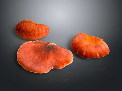 Fresh Orange Edible Mushrooms on Dark Background with Vibrant Color and Natural Texture 3d model