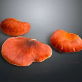 Fresh Orange Edible Mushrooms on Dark Background with Vibrant Color and Natural Texture