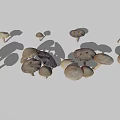 Multiple Brown Mushrooms Displaying Various Sizes And Natural Cap Stem Structures 3d model