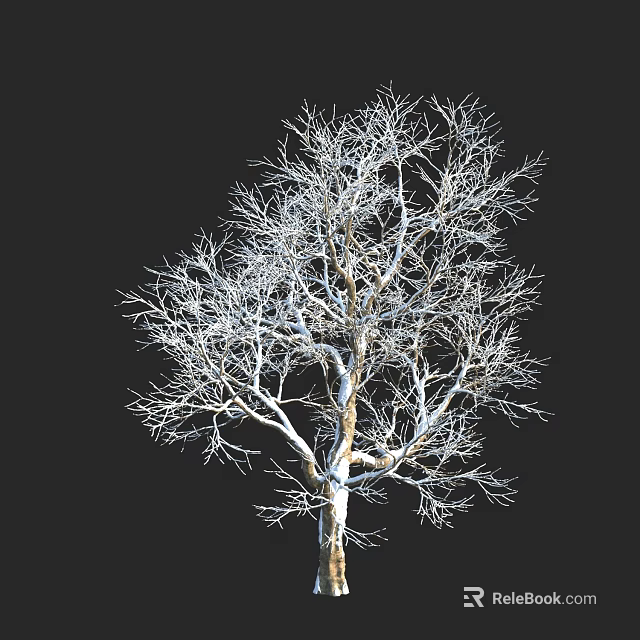 Leafless Tree With Detailed Intricate Branch Structure Against Black Background 3d model 
