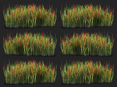 Multiple Clumps of Green and Red Grass with Natural Growth Patterns 3d model