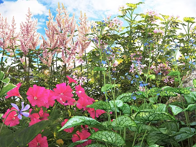 Vibrant Garden Flowers And Lush Greenery With Pink And Purple Blooms 3d model