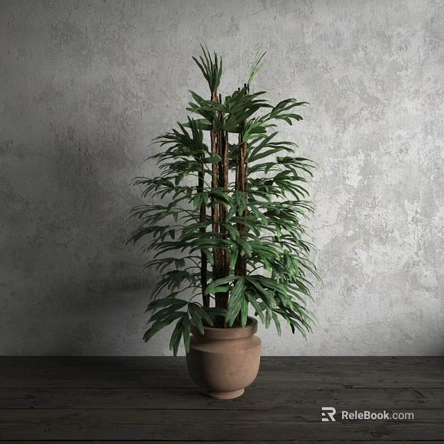 Tall Leafy Potted Plant with Lush Green Foliage in Terracotta Pot Against Gray Wall 3d model 