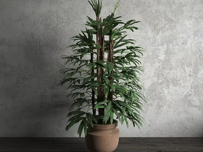 Tall Leafy Potted Plant with Lush Green Foliage in Terracotta Pot Against Gray Wall 3d model