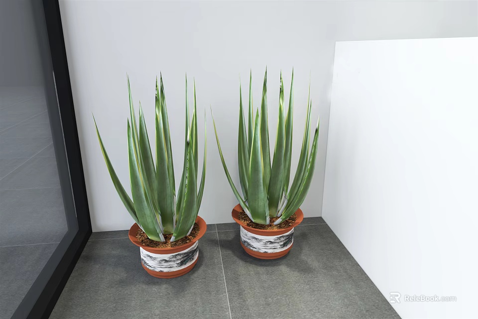 Two Aloe Vera Potted Plants in Patterned Ceramic Pots on Gray Floor Against White Wall 3d model 