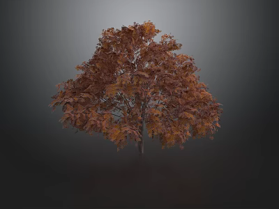 Lush Full Shaped Tree With Orange Red Leaves On Dark Background 3d model