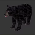 Black Bear Standing in Natural Posture with Thick Fur and Detailed Features