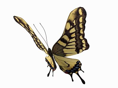 Yellow and Black Butterfly with Spread Patterned Wings Flying in White Background 3d model