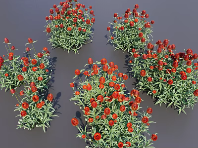 3D Rendered Red Flower Bushes With Green Leaves In Gray Background 3d model