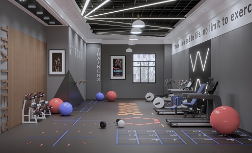 Modern gym equipment combination 3d model