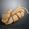 Medical Device Human Organ Anatomy Model for Medical Education Training with Detailed Structure