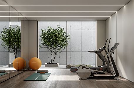 Modern Gym Villa Gym 3d model