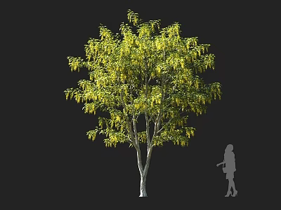 Lush Green Arbor with Hanging Yellow Sprigs and Human Silhouette Showing Size Proportion 3d model