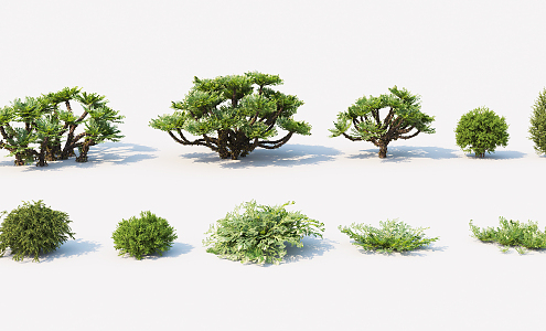 modern shrub green plant 3d model