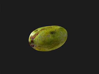 Fresh Green Mango with Natural Brown Spots on Black Background 3d model
