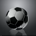 Black And White Panel Soccer Ball Sports Equipment With Sun Logo On Surface
