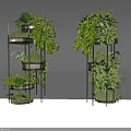 Multi tiered Metal Stand Bonsai Potted Plants With Green Foliage For Indoor Decor