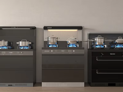 Black Integrated Kitchen Appliances With Gas Stoves Pots And Blue Flames 3d model