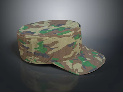 Camouflage Patterned Hat As Everyday Life Accessory With Comfortable Design 3d model