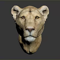 Detailed Light Brown Lion Head Sculpture On Dark Background With Reflection 3d model