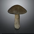 Shiny Metallic Mushroom With Glossy Cap And Stem On Dark Background