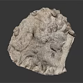 3D Terrain Model With Irregular Shape And Silver White Textured Surface