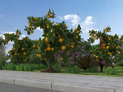 Garden Landscape Featuring Lush Orange Trees Bearing Ripe Fruits Green Grass Blue Sky White Clouds 3d model