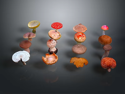 Colorful Various Fresh Mushroom Vegetables With Different Types And Bright Colors 3d model