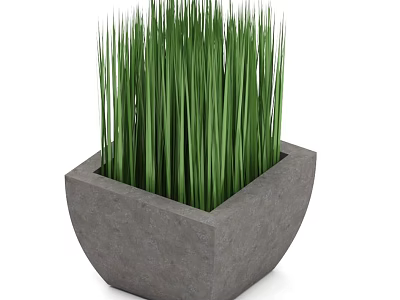 Potted Plant With Tall Green Grass Like Leaves In Square Concrete Planter 3d model