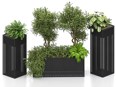 Modern Bonsai Potted Plants in Black Geometric Containers with Various Green Foliage 3d model