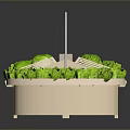 Vegetable Display Shelf With Transparent Glass Cover And Multiple Compartments For Green Vegetables