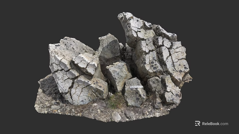 Rocky Micro Terrain With Natural Cracks Rough Texture And Small Vegetation 3d model
