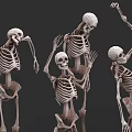 Dynamic Skeletons In Various Dancing Poses With Artistic 3D Models