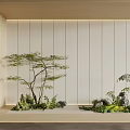Indoor Plant Combination With Small Trees Ferns And Natural Stones Against Minimalist Wall