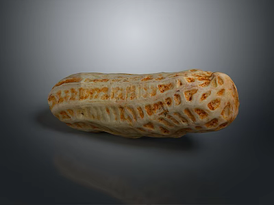 Natural Peanut With Textured Shell In Close Up View On Gray Background 3d model