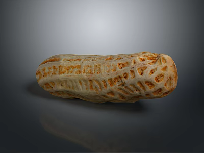 Peanut Plant Vegetable Dried Fruit 3d model