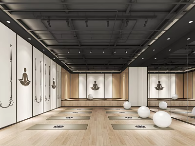 Spacious Yoga Studio Interior Design Featuring Wooden Floors Yoga Mats Hanging Hammocks And Balls 3d model