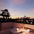 Rooftop Garden With Blue Hydrangeas White Flowers Green Plants Grill And Wooden Deck