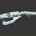 Detailed Animal Organ Skeleton Skull With Sharp Teeth And Blue Accents On Dark Background