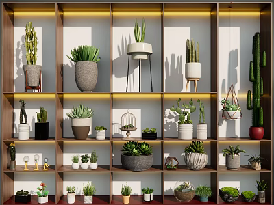 Bonsai Potted Plants Display On Multi Tiered Shelves With Various Pots And Decorative Items 3d model