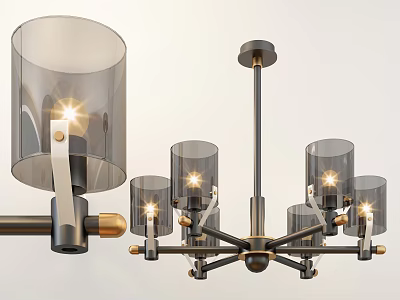 Modern Five Light Chandelier With Glass Shades And Metal Frame Design 3d model