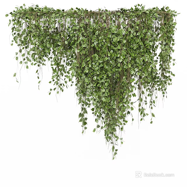 Lush Indoor Living Plant Wall With Hanging Vines And Green Leaves 3d model 