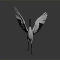 White Crane With Red Crown Spreading Wings And Black Wing Edges On Gray Background 3d model