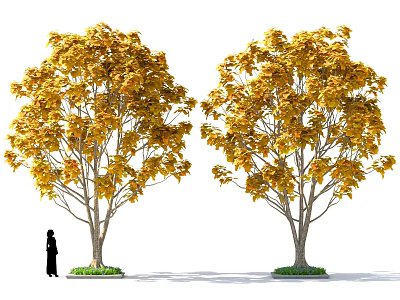 Two Golden Leaf Trees with Silhouette Figure Standing Nearby on Green Grass in Autumn 3d model