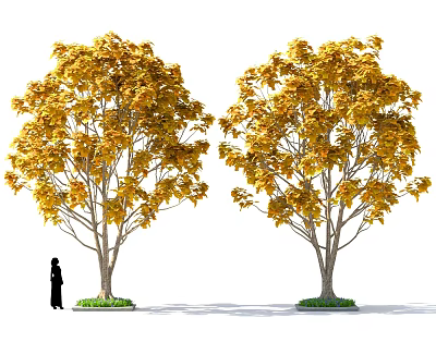 Two Golden Leaf Trees with Silhouette Figure Standing Nearby on Green Grass in Autumn 3d model