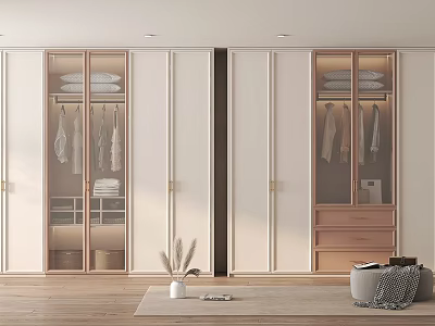 Modern Home Wardrobe Interior With Glass Doors And Wooden Details 3d model