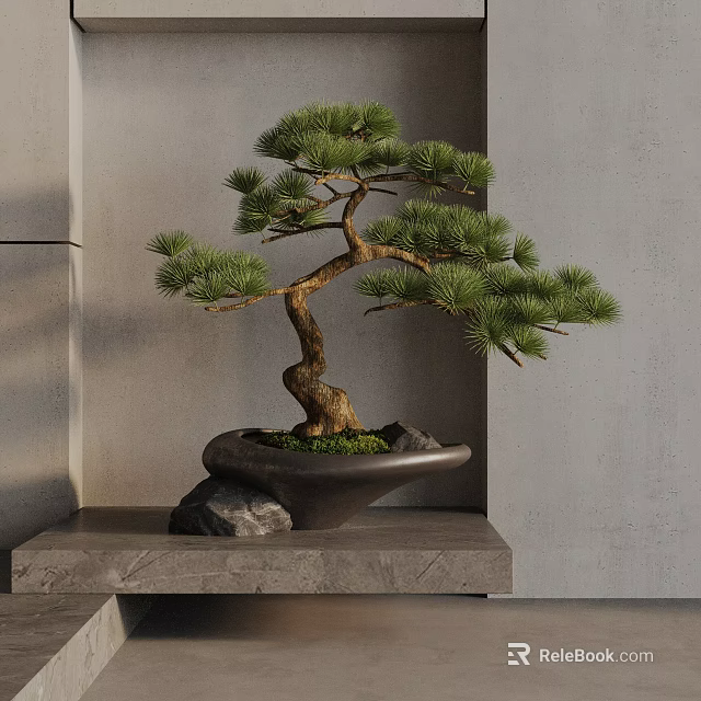 Bonsai Tree With Curved Trunk Black Pot Moss And Stones On Gray Stand Gray Wall 3d model 