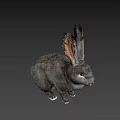 Gray Rabbit Game Movie Character With Long Ears In Sitting Pose On Dark Background